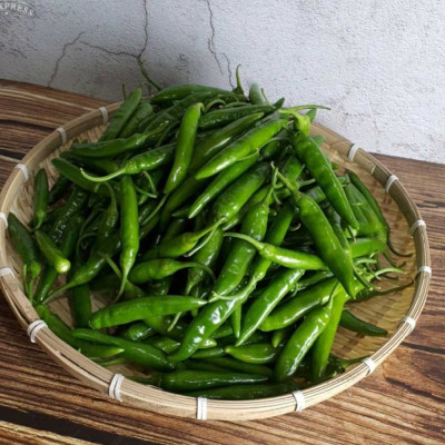 남원 땡초 1kg